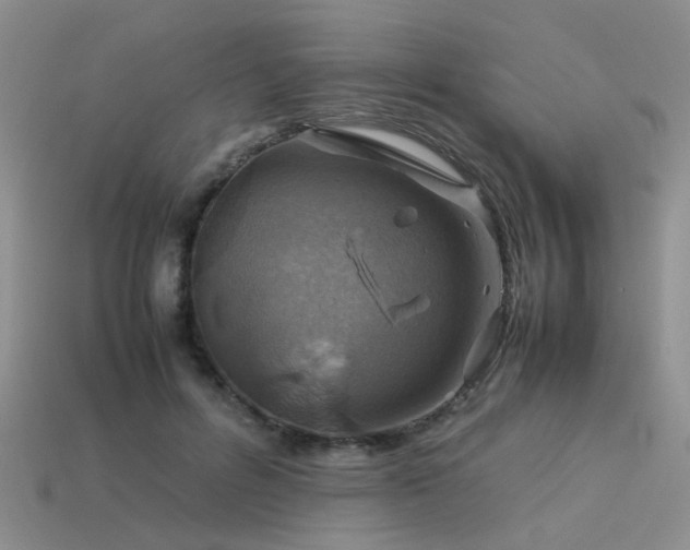 X0000113590600200909181333