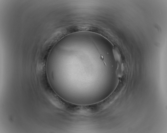 X0000113590601200909181333