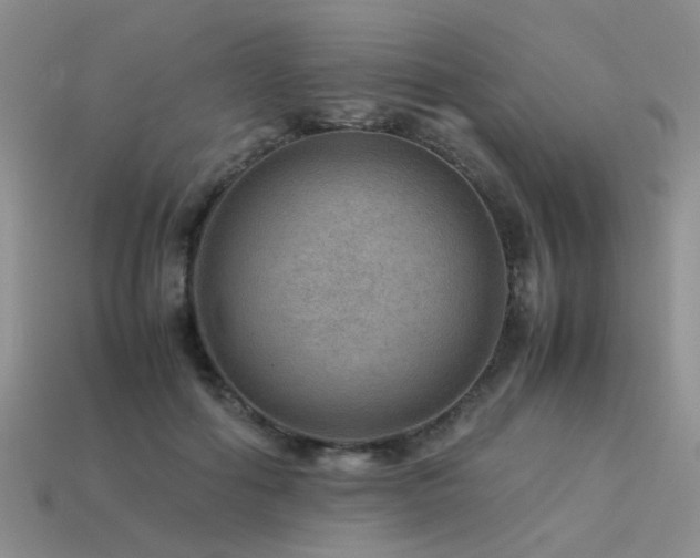 X0000113590602200909181333