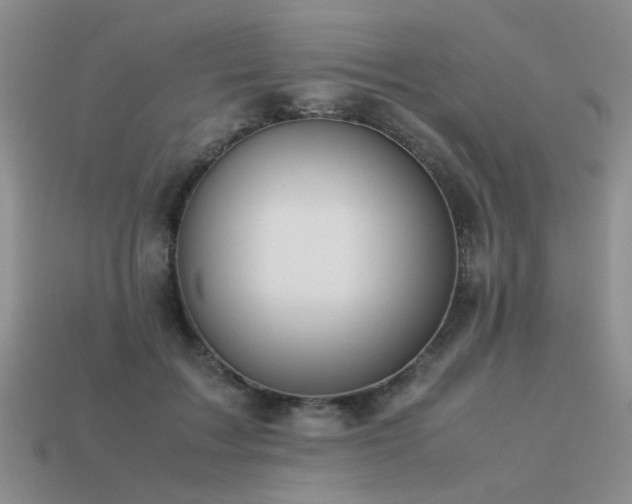 X0000113590603200909181333