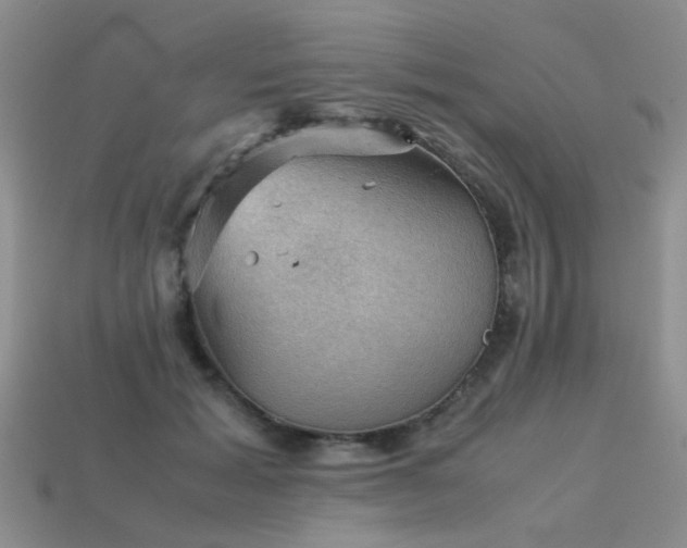 X0000113590605200909181333