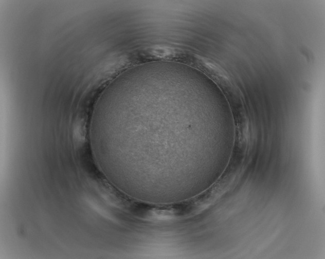 X0000113590606200909181333