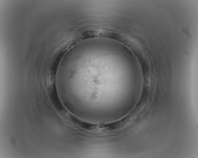 X0000113590607200909181333