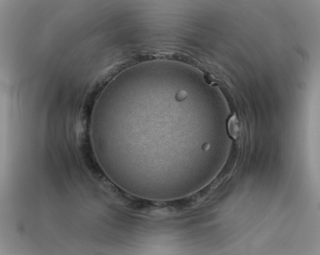 X0000113590608200909181333