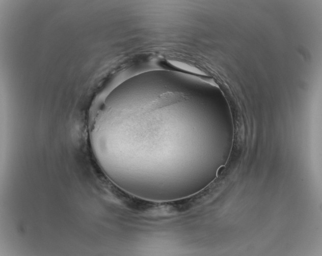 X0000113590609200909181333