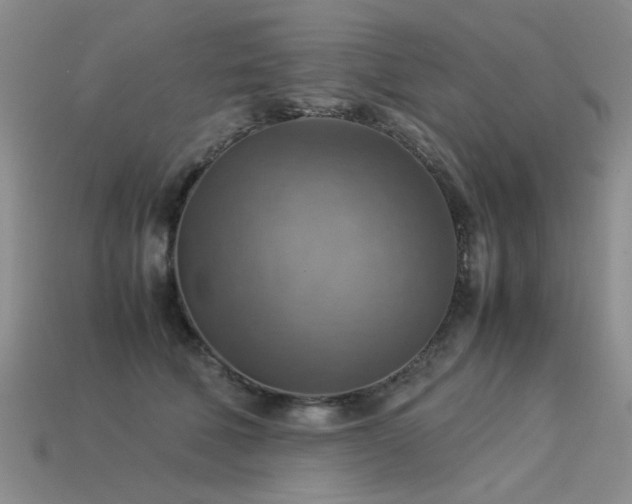 X0000113590610200909181333