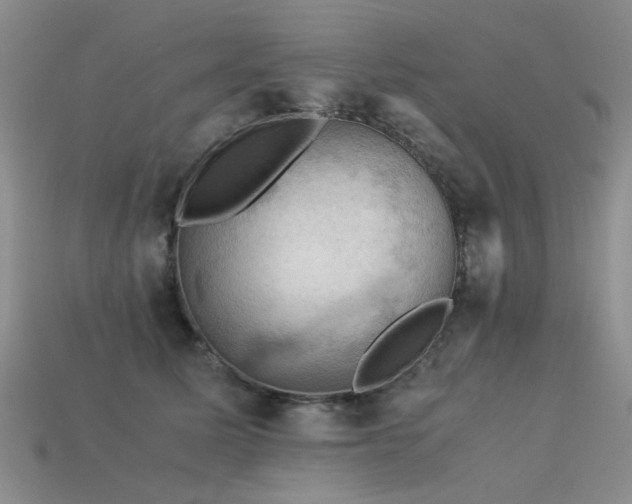 X0000113590611200909181333