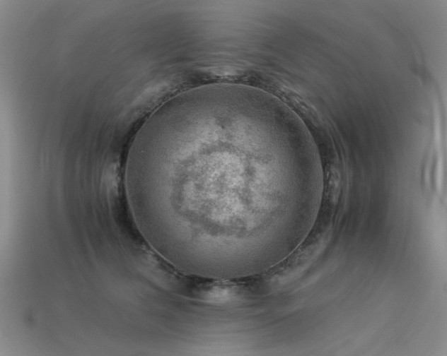 X0000113590612200909181333