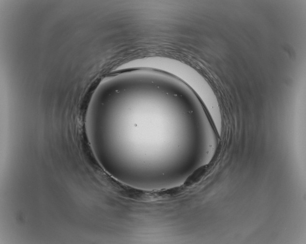 X0000113590613200909181333