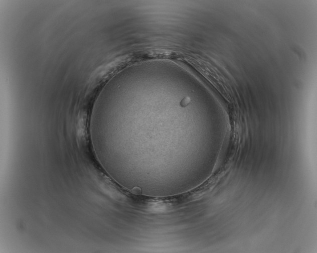 X0000113590616200909181333