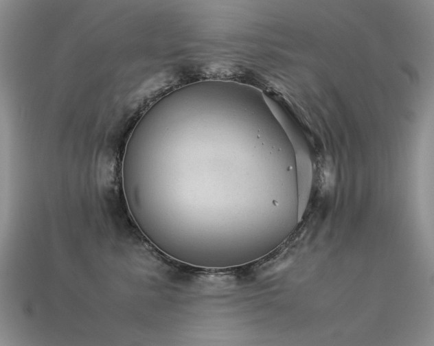 X0000113590619200909181333