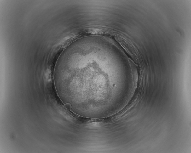 X0000113590620200909181333