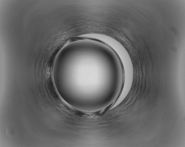 X0000113590621200909181333