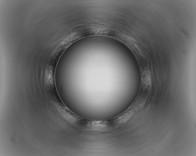 X0000113590622200909181333