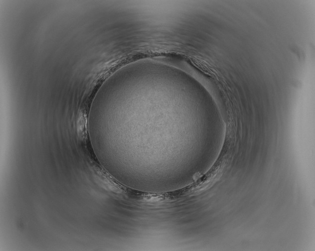 X0000113590624200909181333