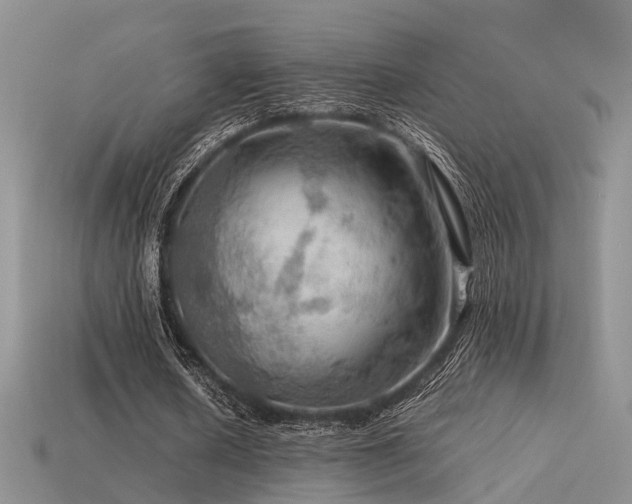 X0000113590626200909181332