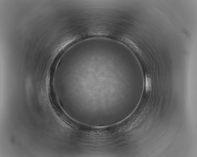 X0000113590627200909181332