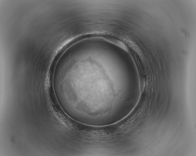 X0000113590628200909181332