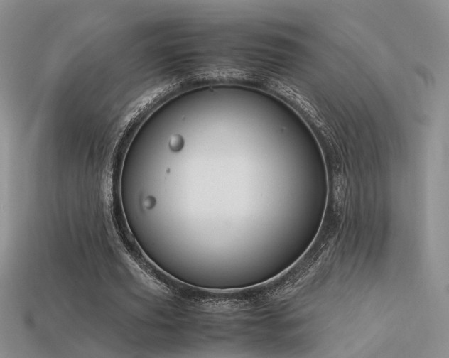 X0000113590629200909181332