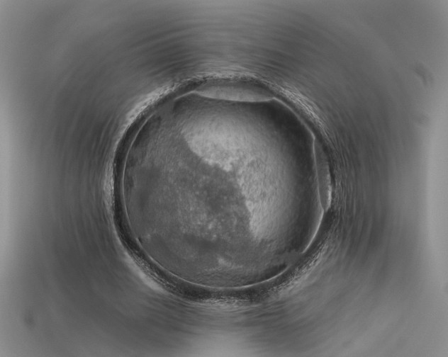 X0000113590630200909181332