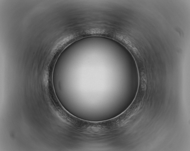 X0000113590631200909181332