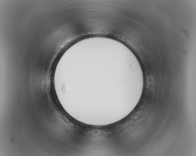 X0000113590632200909181332