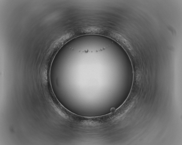 X0000113590633200909181332