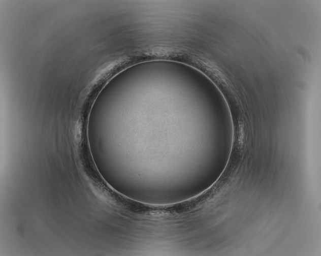 X0000113590636200909181332