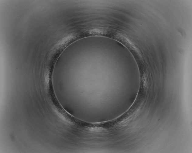 X0000113590637200909181332