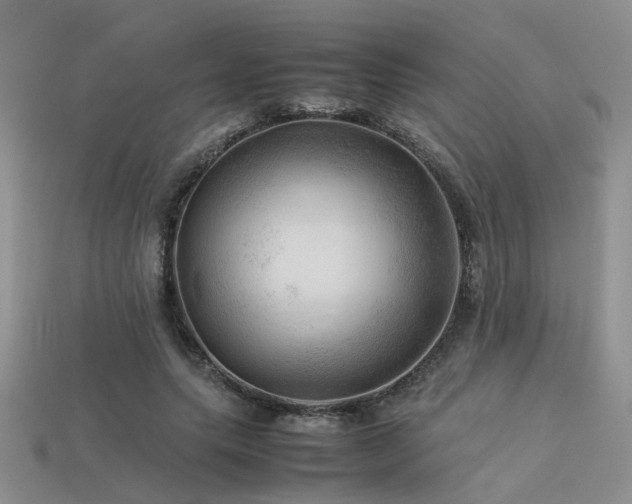 X0000113590639200909181332