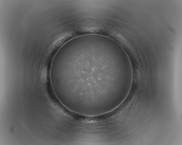 X0000113590640200909181332