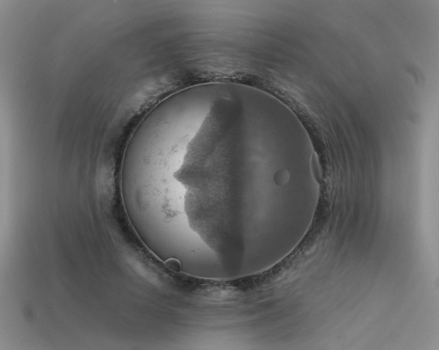 X0000113590642200909181332