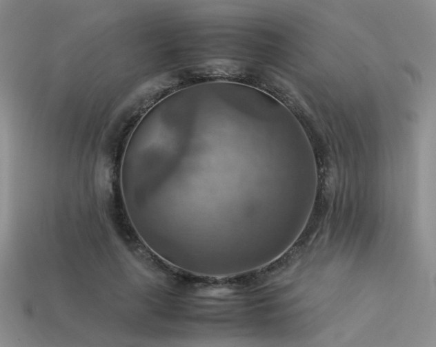 X0000113590643200909181332