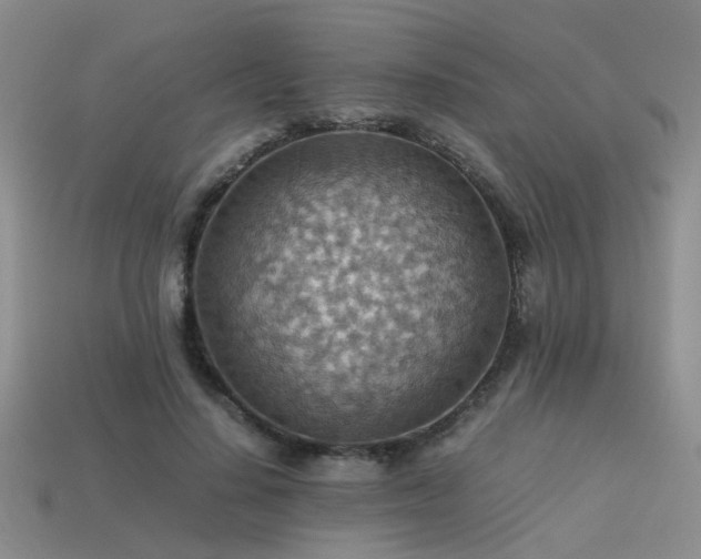 X0000113590644200909181332