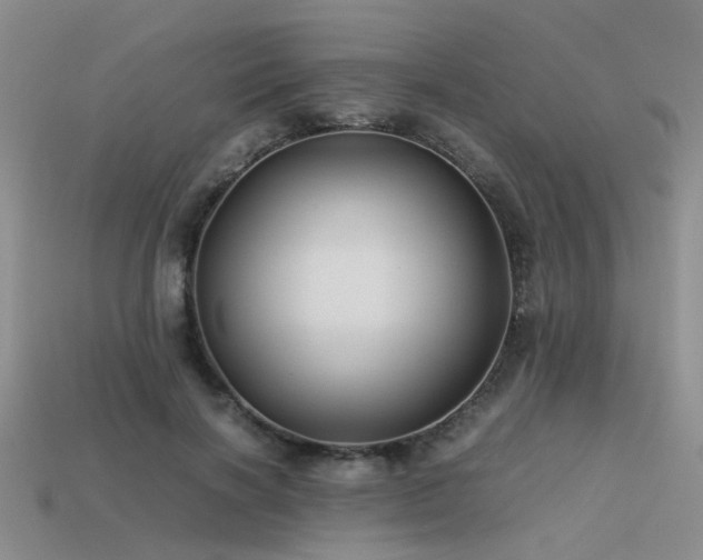 X0000113590646200909181332