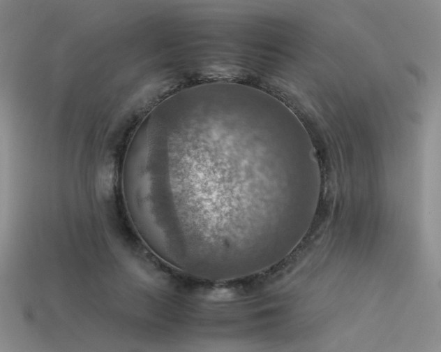 X0000113590647200909181332