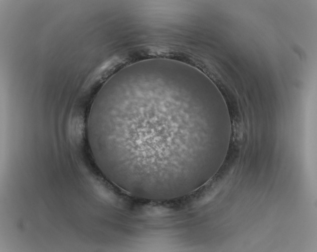 X0000113590648200909181332