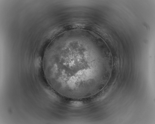 X0000113590649200909181333