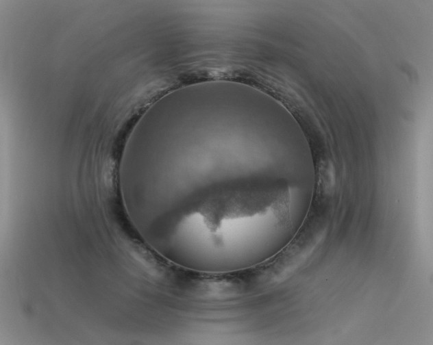 X0000113590650200909181333