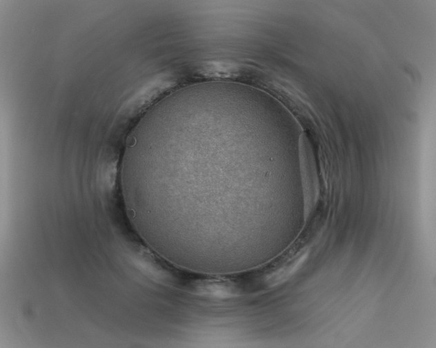 X0000113590652200909181333