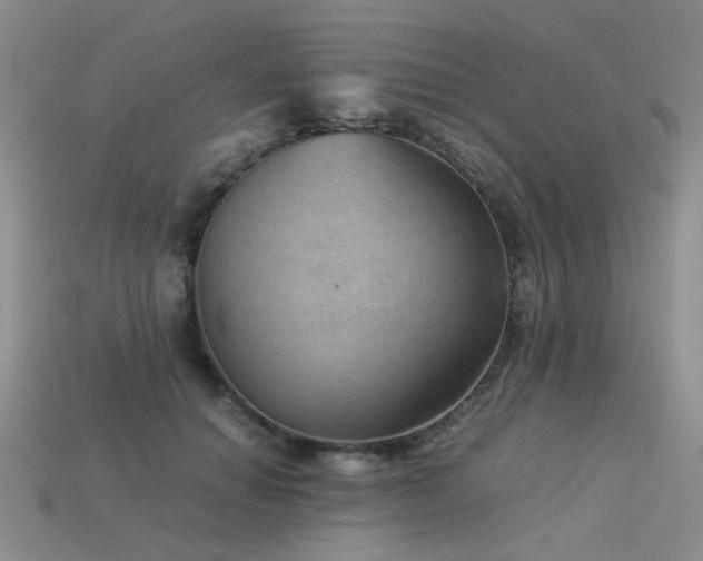 X0000113590654200909181333