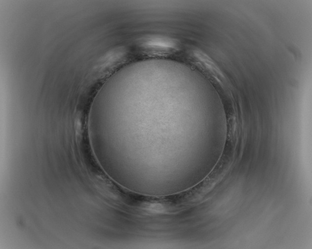 X0000113590655200909181333