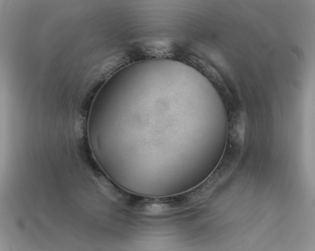 X0000113590658200909181333