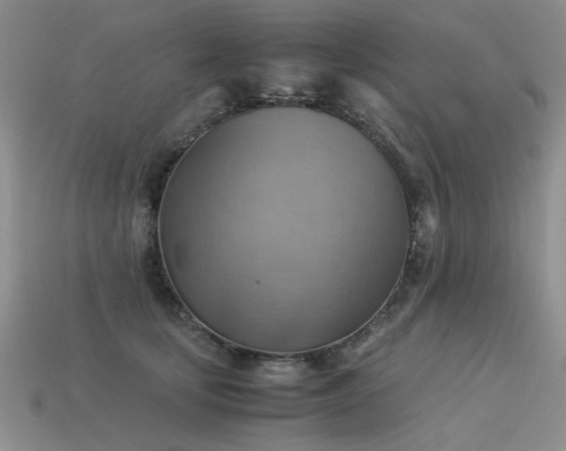 X0000113590659200909181333