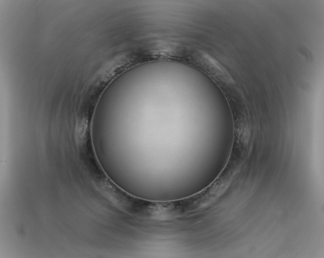 X0000113590660200909181333