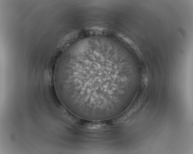 X0000113590661200909181333