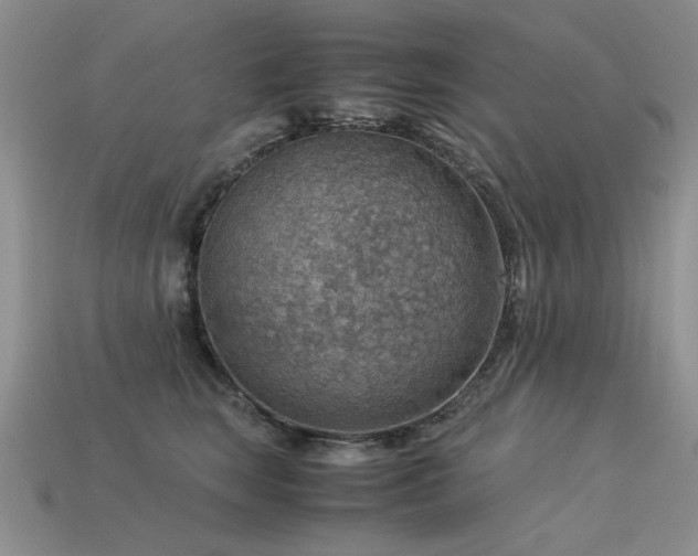 X0000113590663200909181333