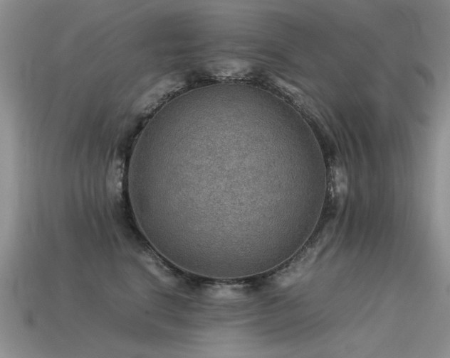 X0000113590664200909181333