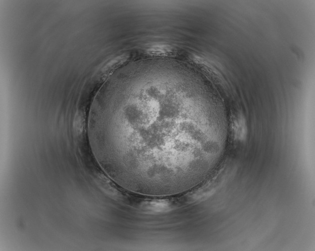 X0000113590665200909181333