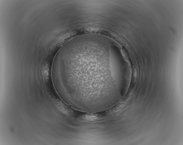 X0000113590668200909181333